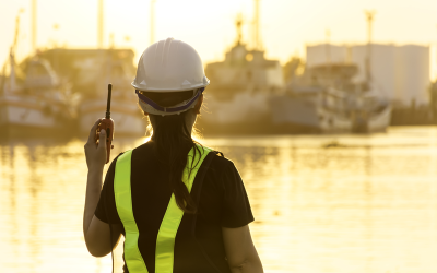 Protección y vigilancia en los puertos: claves para una infraestructura estratégica segura
